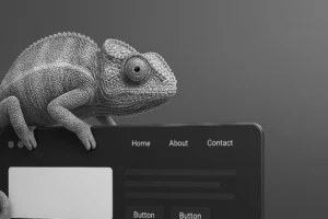 WordPress website2