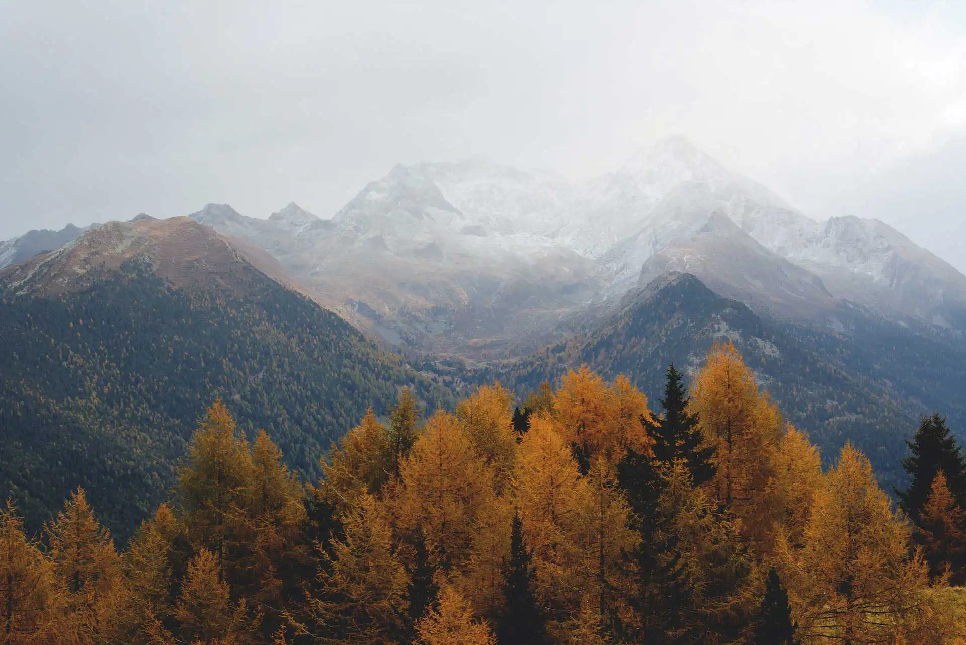 WordPress website laten maken in Den Bosch 1 mountain view